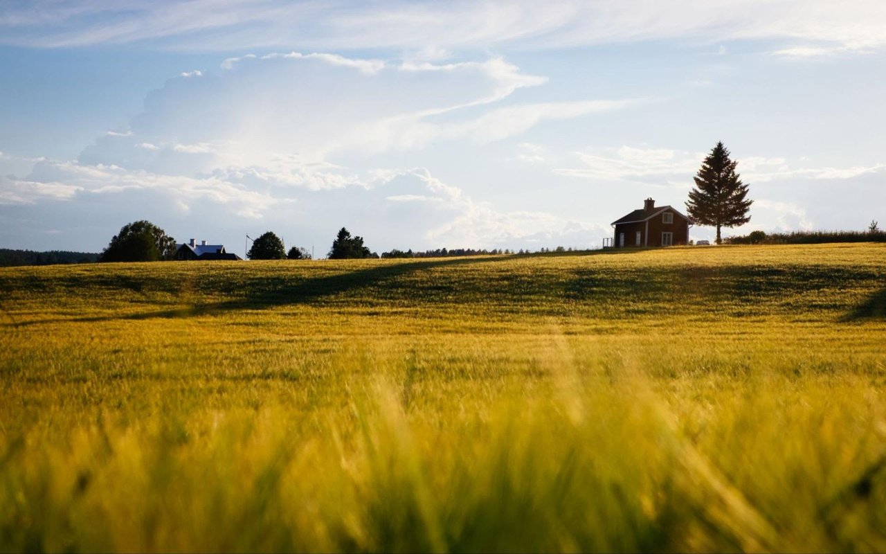 Farm-to-Table Living: Finding the Perfect Property