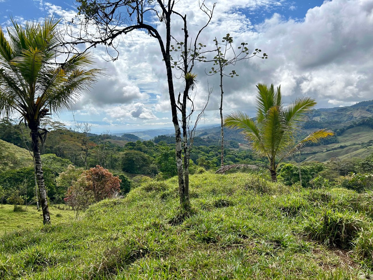 Hidden Gem: Serene Farm Retreat with Majestic Views in Costa Rica