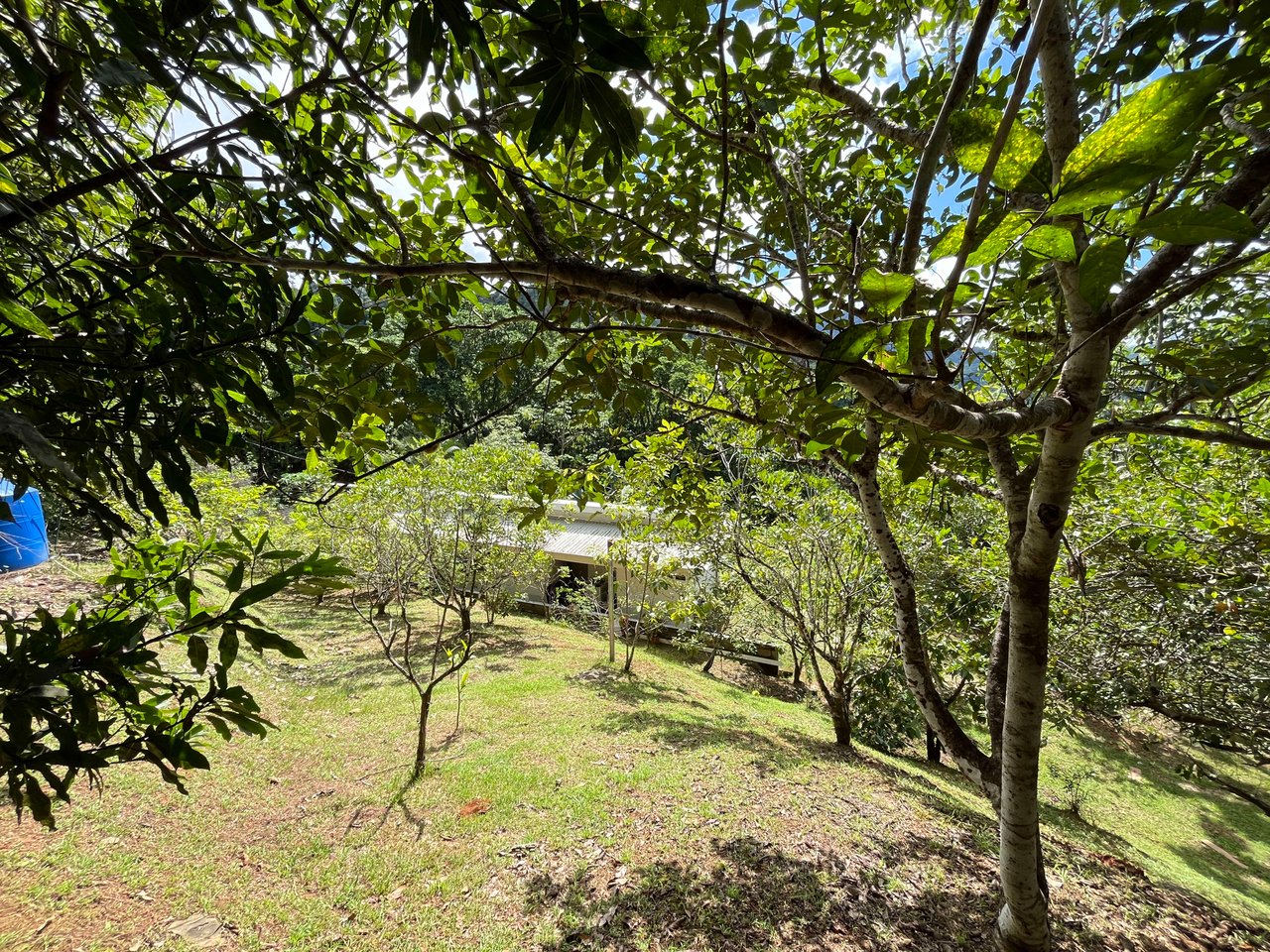 Costa Azul 120-degree Mountain View House With Costarican Wooden House as Lagniappe.