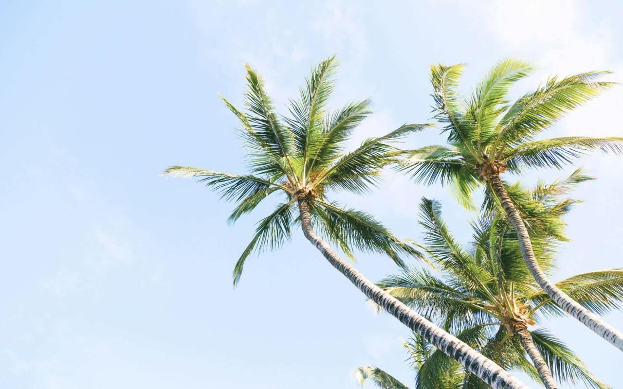 The Naples, Florida Ultra-Luxury Market: What You Need to Know