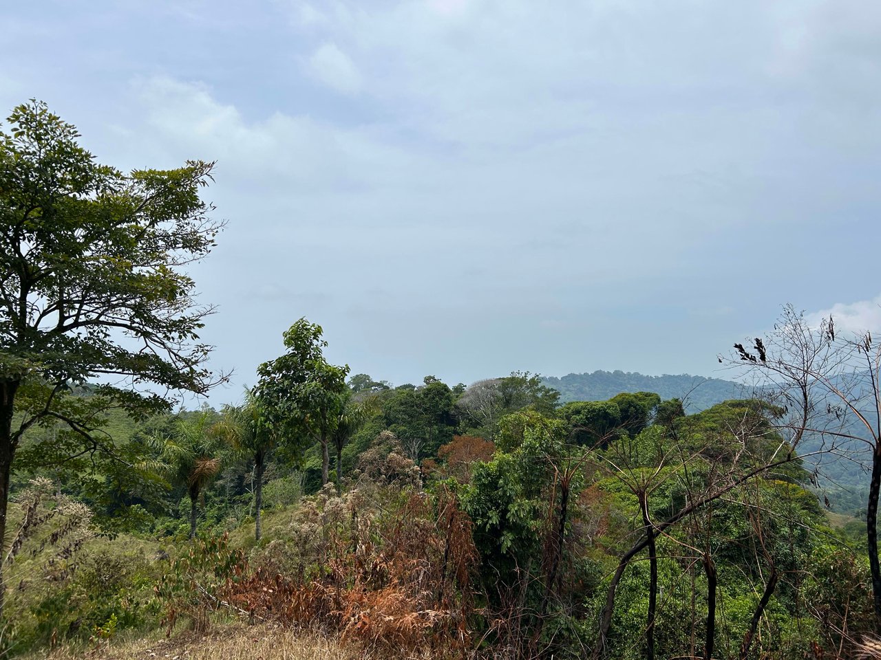 Over 76 Acres in Hatillo Overlooking Playa Linda