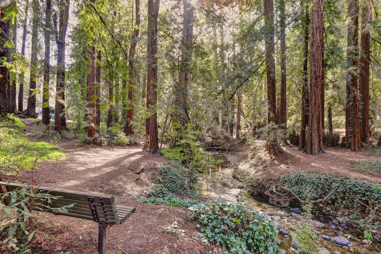 Charming Cottage in Blithedale Canyon 