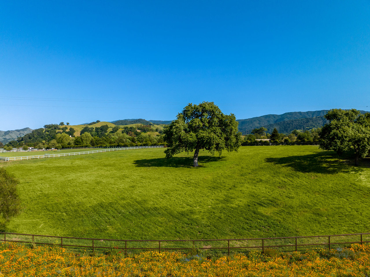 71+/- Enchanting Acres fronting the Santa Ynez River