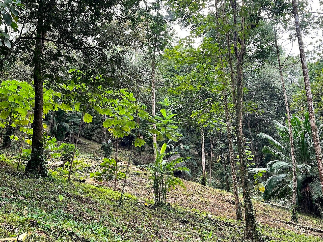 Luxury Development Land, Uvita, Puntarenas
