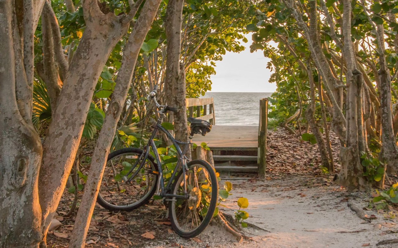 A Guide to Sarasota Parks