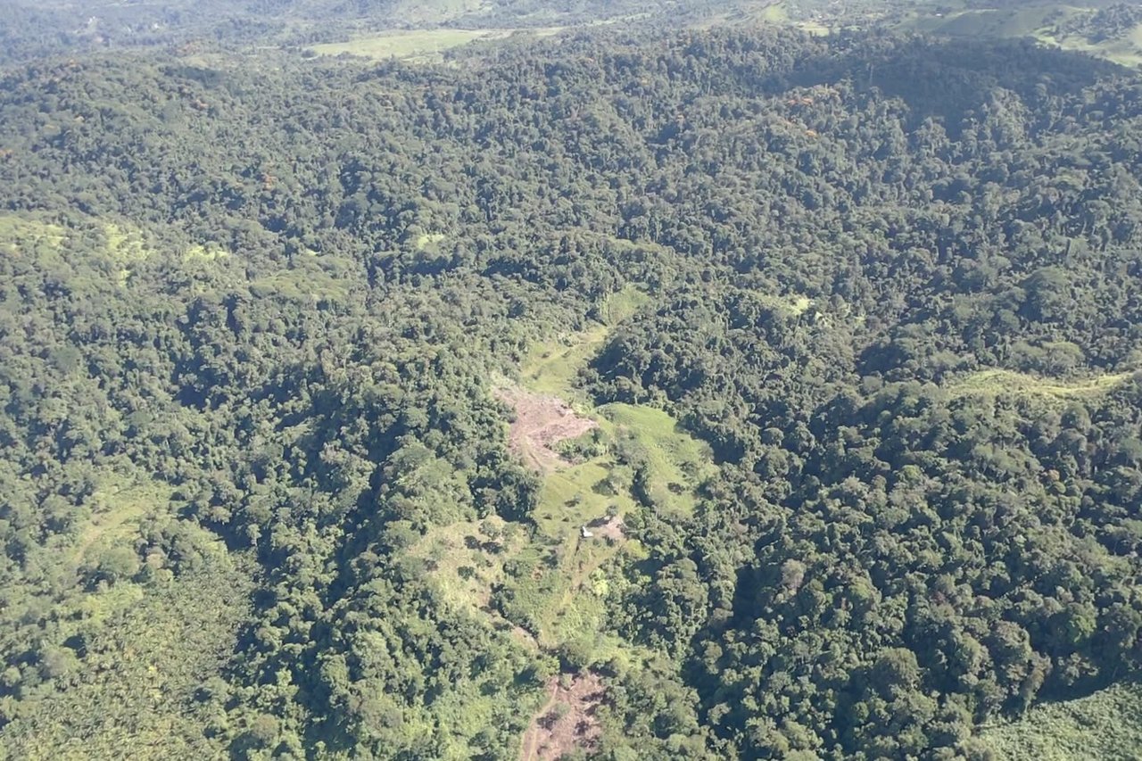 90 acre Farm, Inexpensive with lots of potential close to Rio Claro