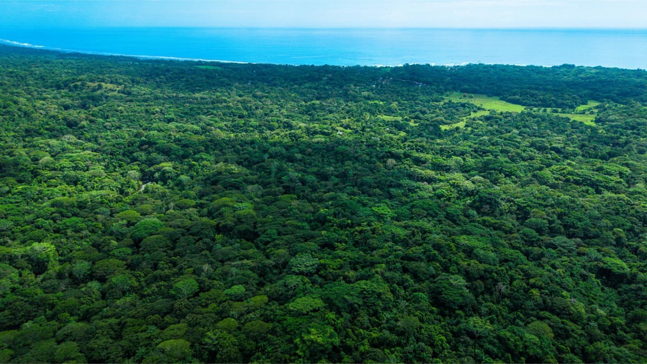 Oceanfront Legacy Ranch Estate, Jaco, Puntarenas