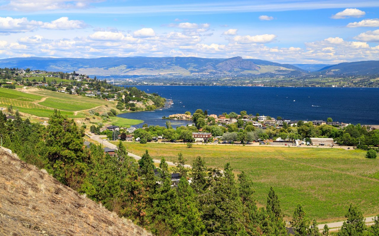 Kelowna Real Estate Market 2025 CRASH? 2025 so far 