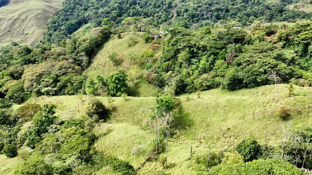 Hidden Gem: Serene Farm Retreat with Majestic Views in Costa Rica