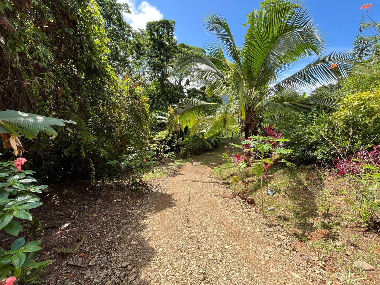 Costa Azul 120-degree Mountain View House With Costarican Wooden House as Lagniappe.