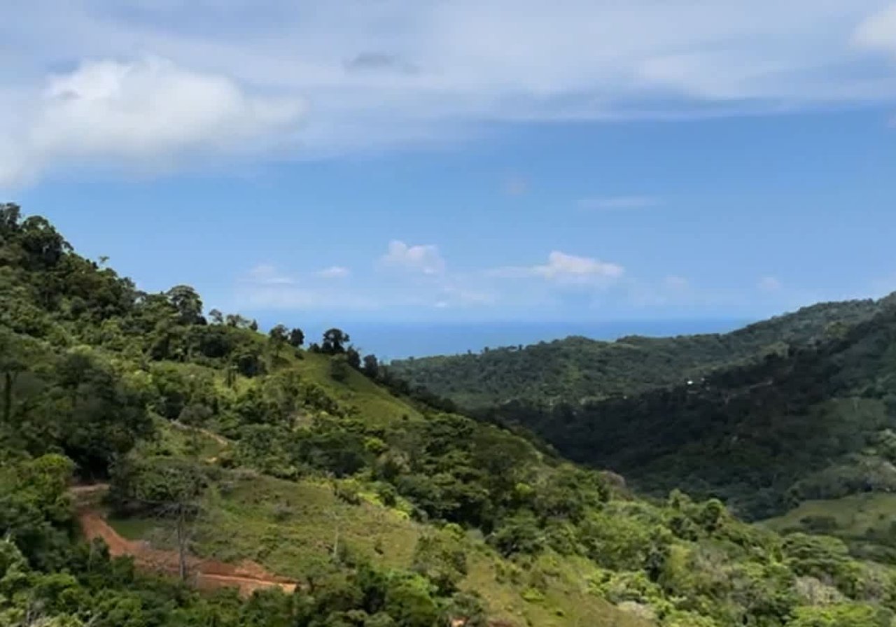 San Josecito Farm Above Uvita, 4 Acres, Creek and Usable Land