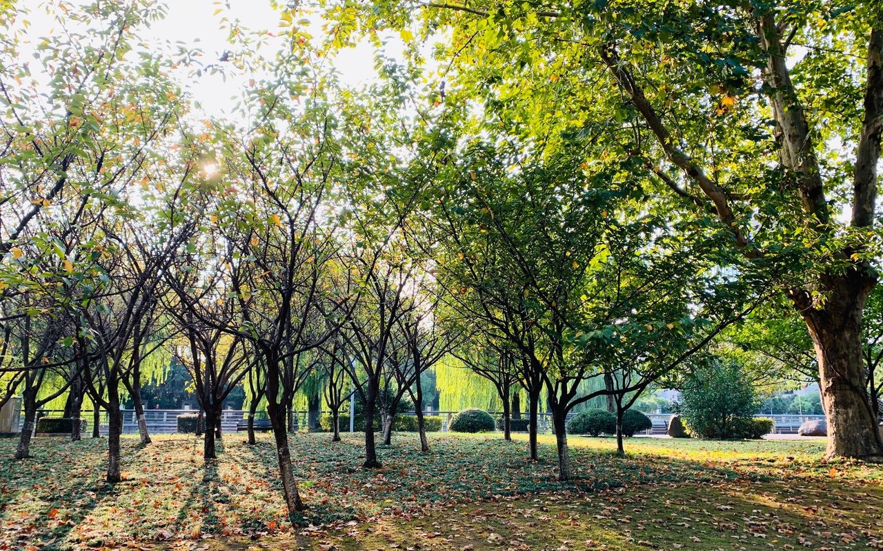 Land Park