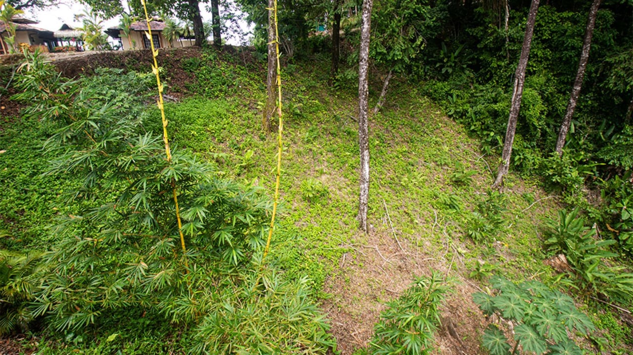 Gated Community Development Lot, Dominical, Puntarenas