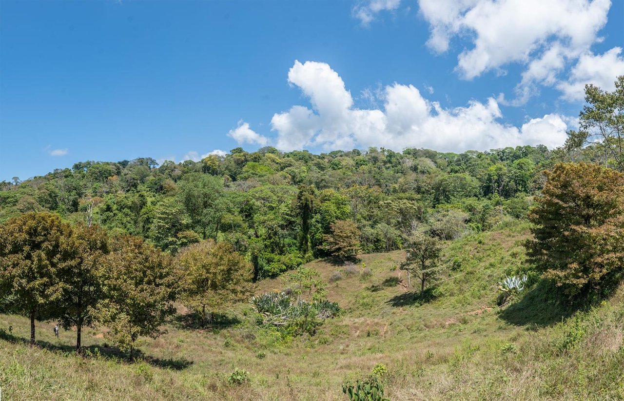 Prime Ocean and Whale tail View Development Land In Uvita