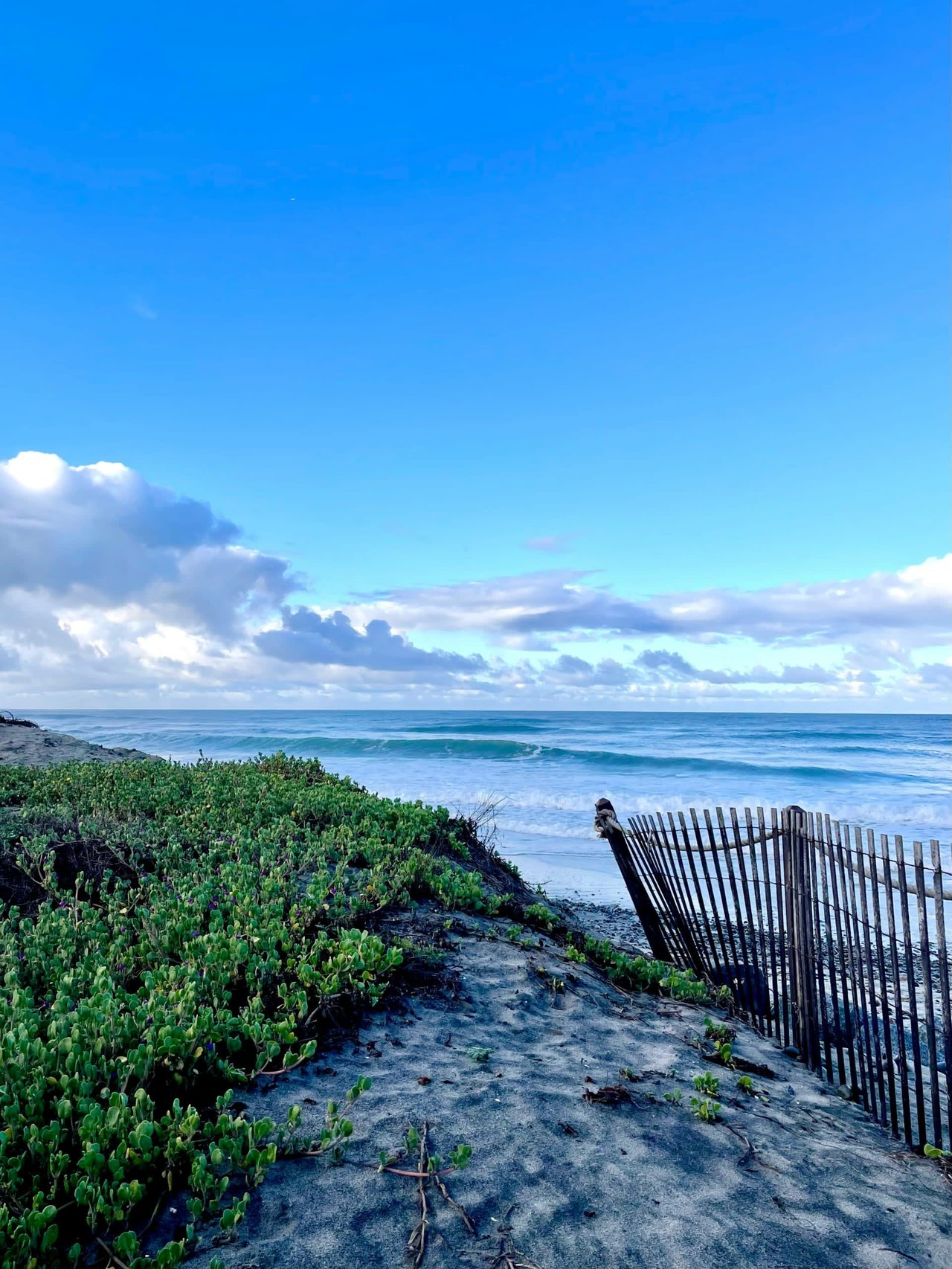 Encinitas Market Report July 2024