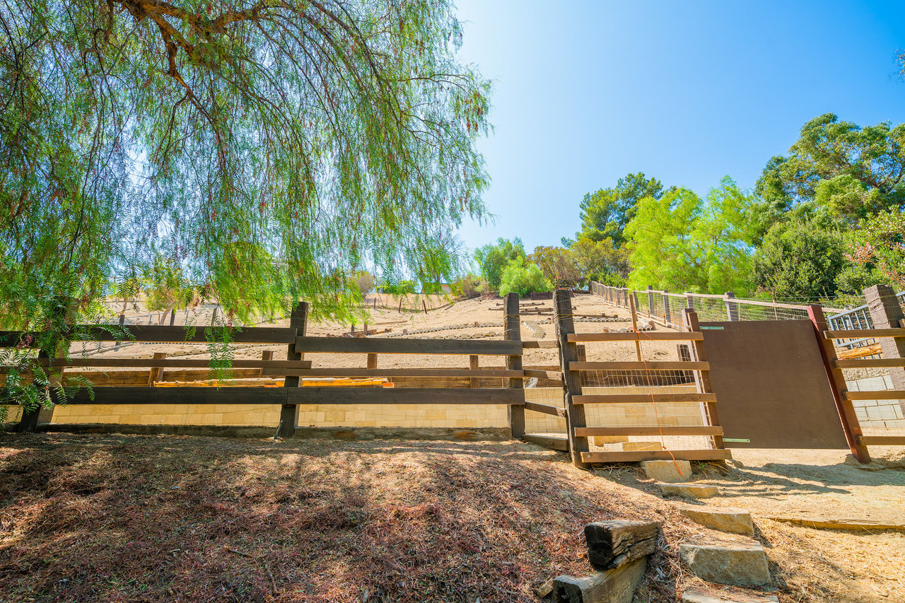 A Lil Bit O' Country in Shadow Hills * SOLD at full price