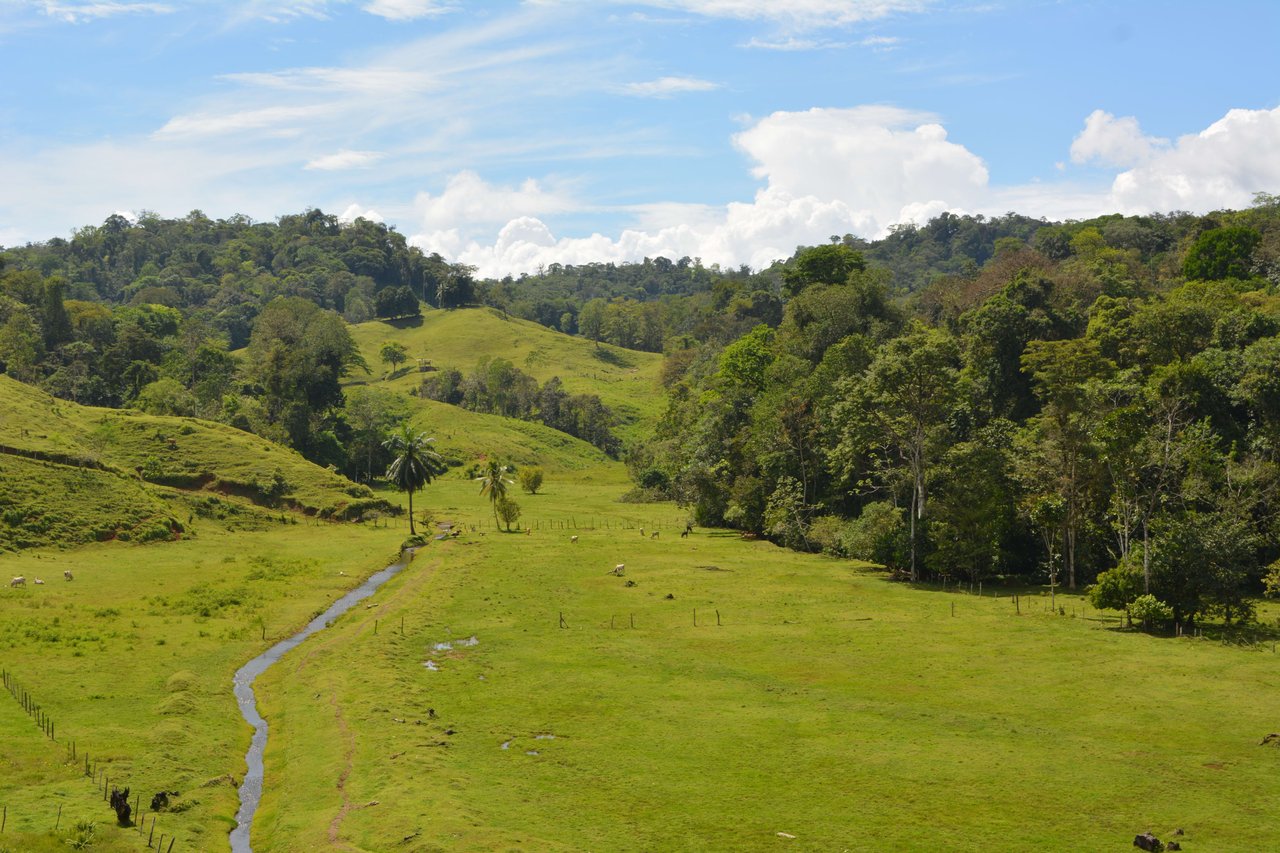 Osa Peninsula Magic 