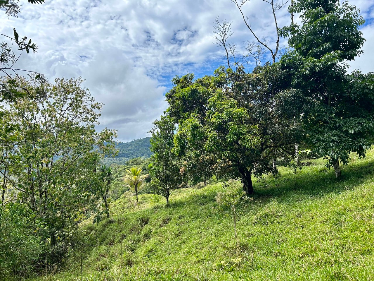 Hidden Gem: Serene Farm Retreat with Majestic Views in Costa Rica