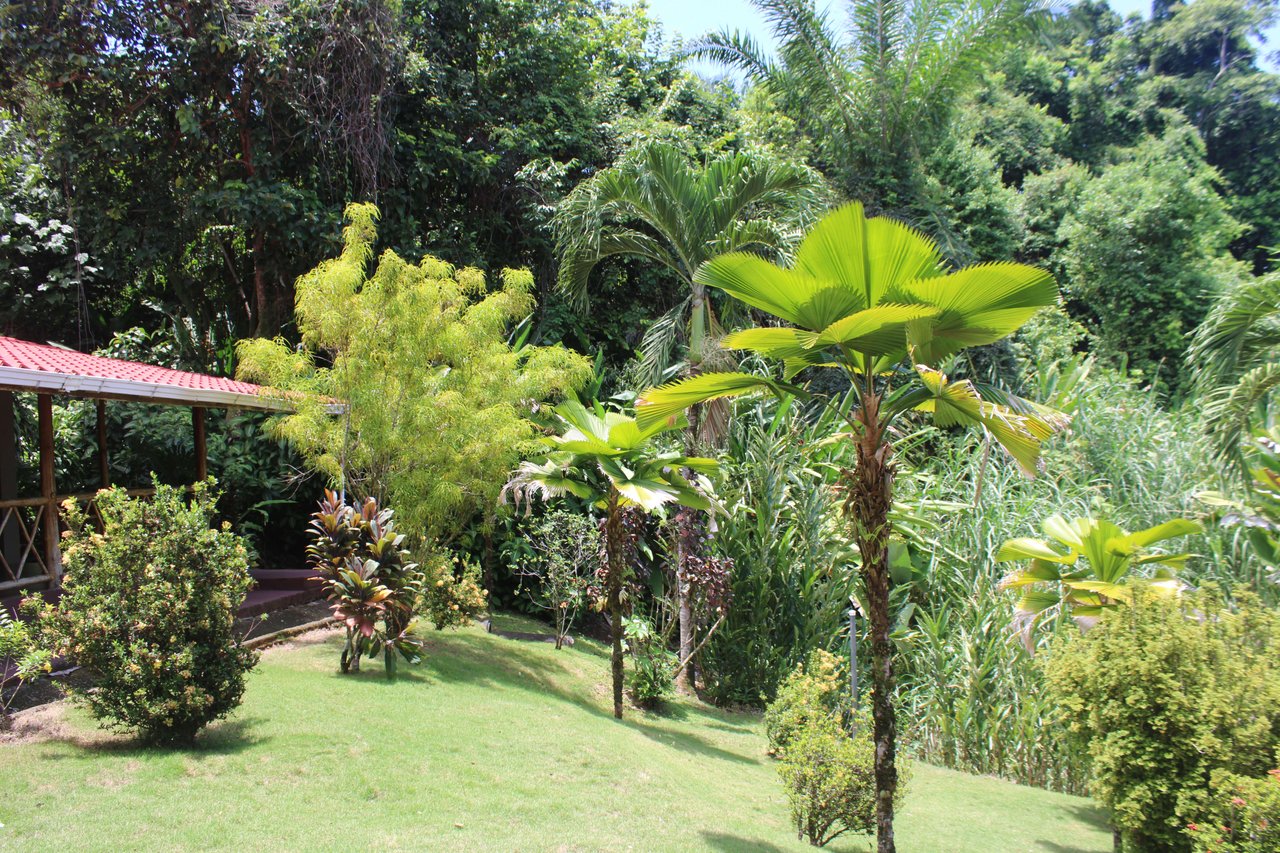Income Producing Property with Ocean View close to Dominical