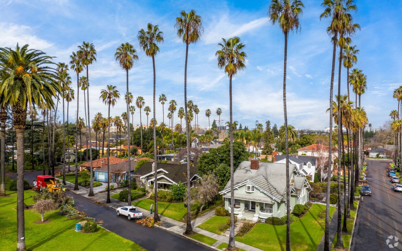 Willow Glen