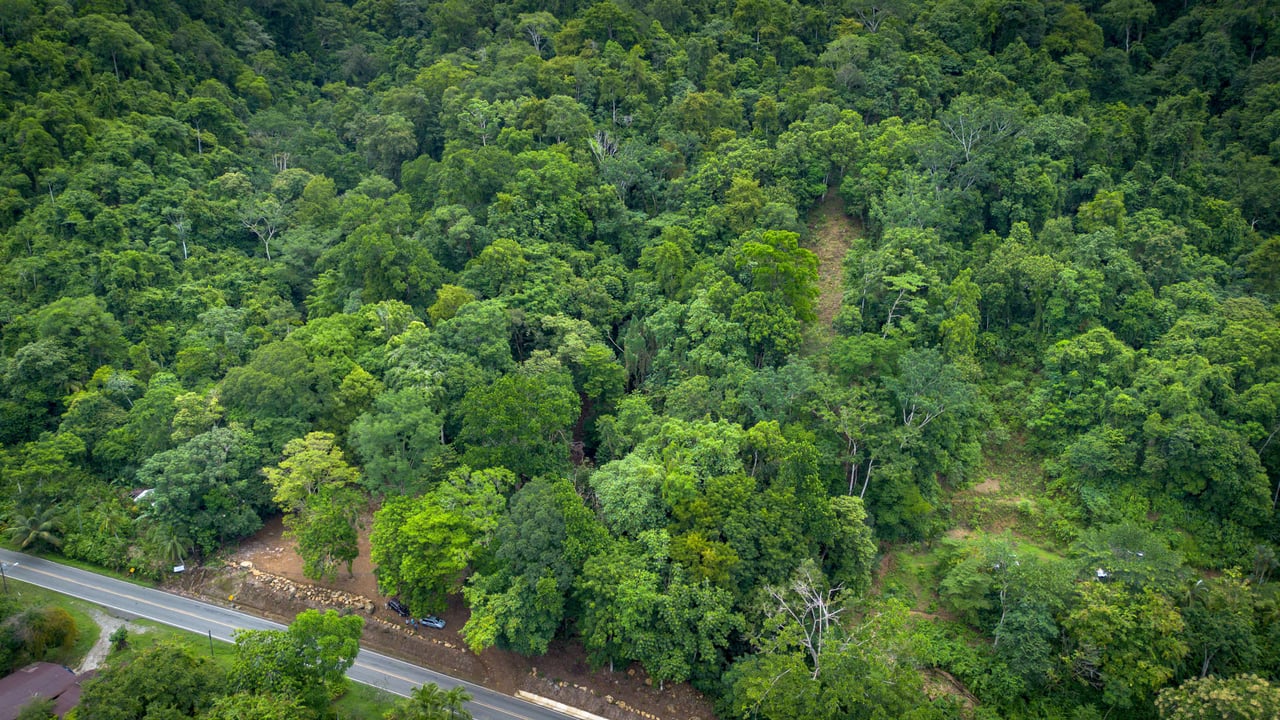 Prime 9.4-Acre Ocean View Land in Golfito