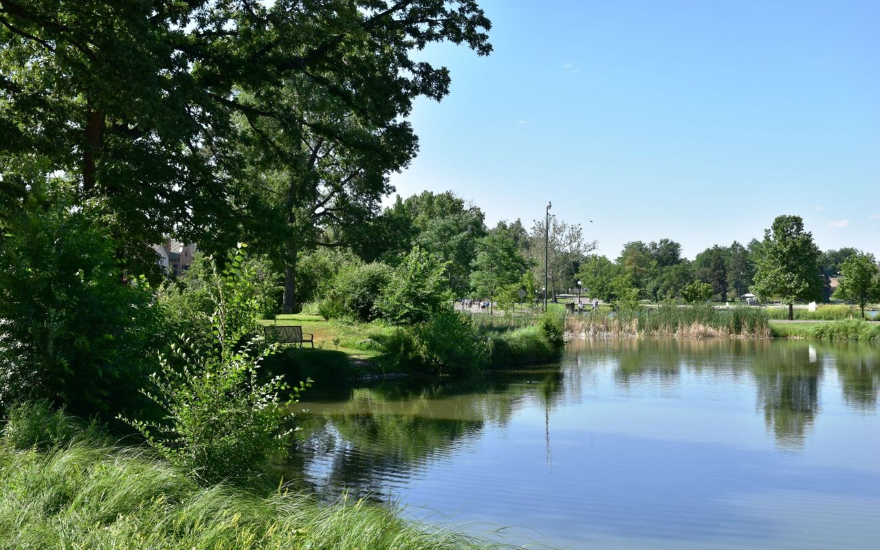 Washington Park