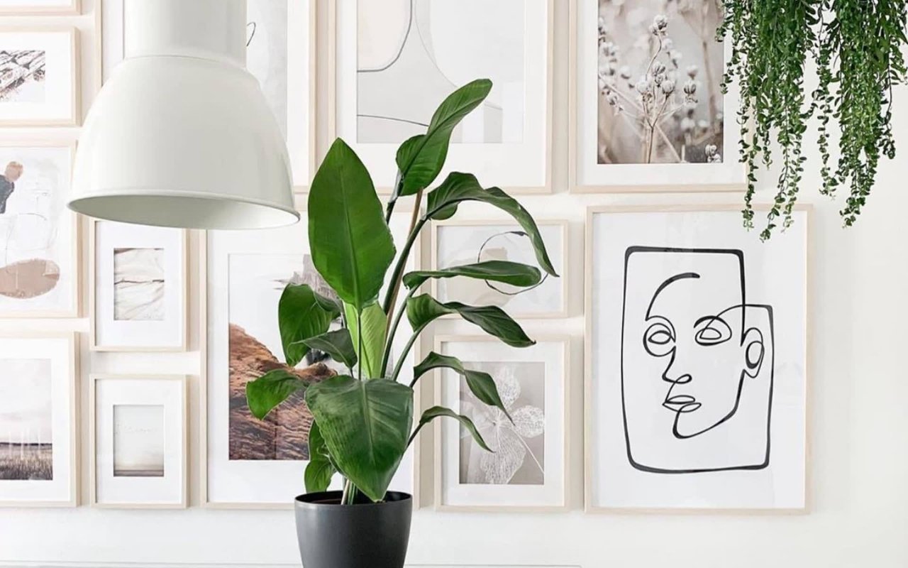 Wall Art Trends to Know
