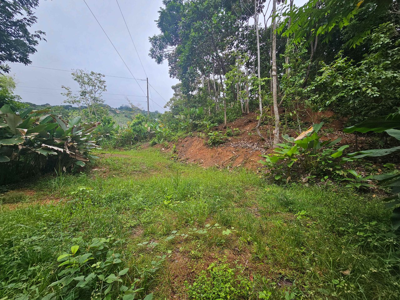 Discover Your Dream in Uvita's Prime Real Estate
