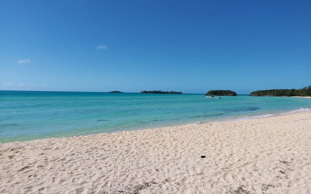 Beach in South Palmetto Point