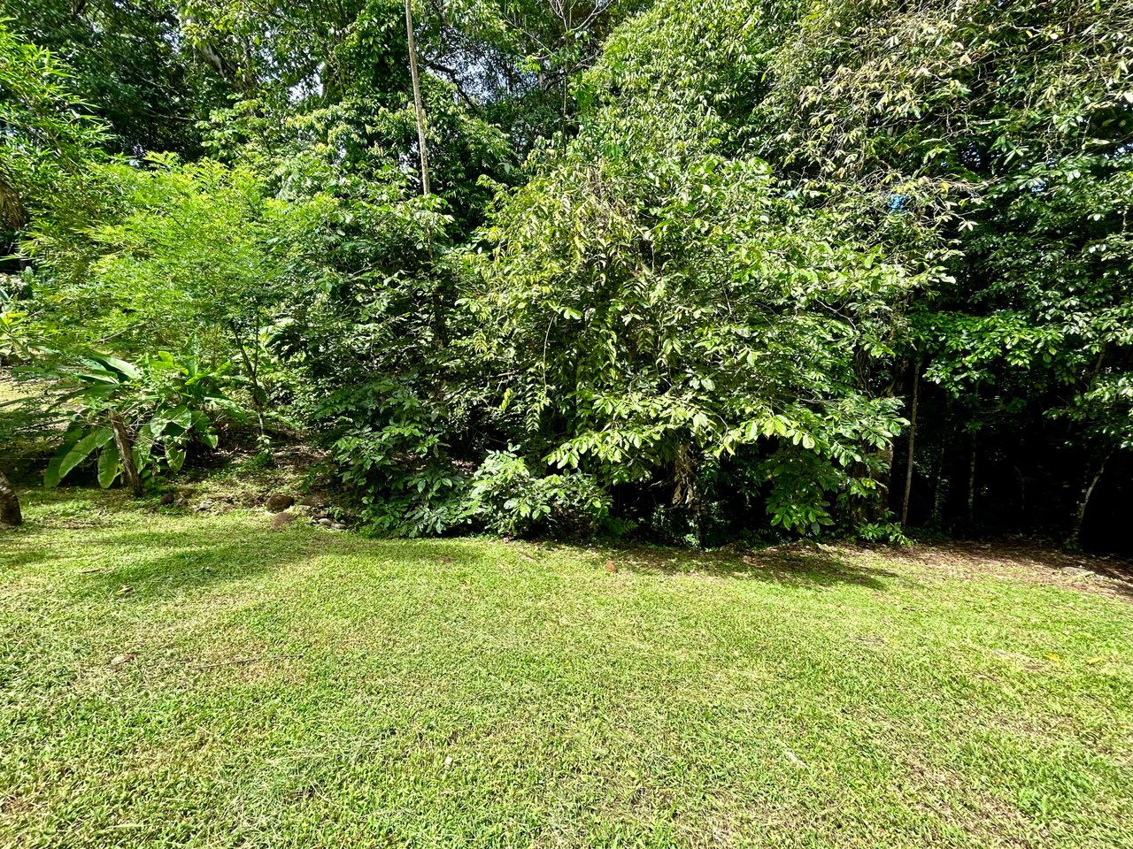 Secret Paradise Property in Altos de la Colonia