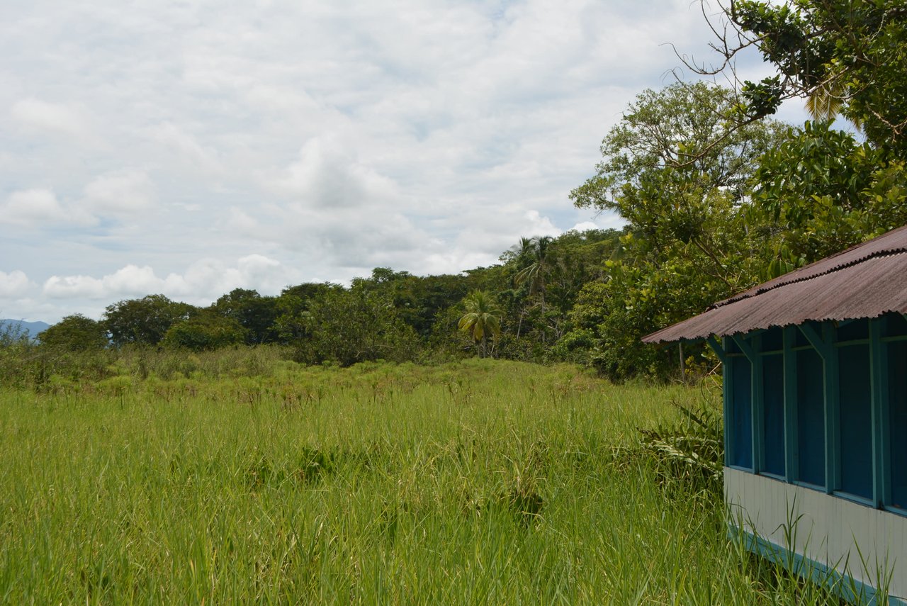10 Acre Rio Sierpe Paradise Residential And Cabinas