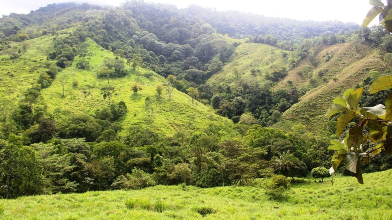 Waterfall Riverfront View Land, Uvita, Puntarenas
