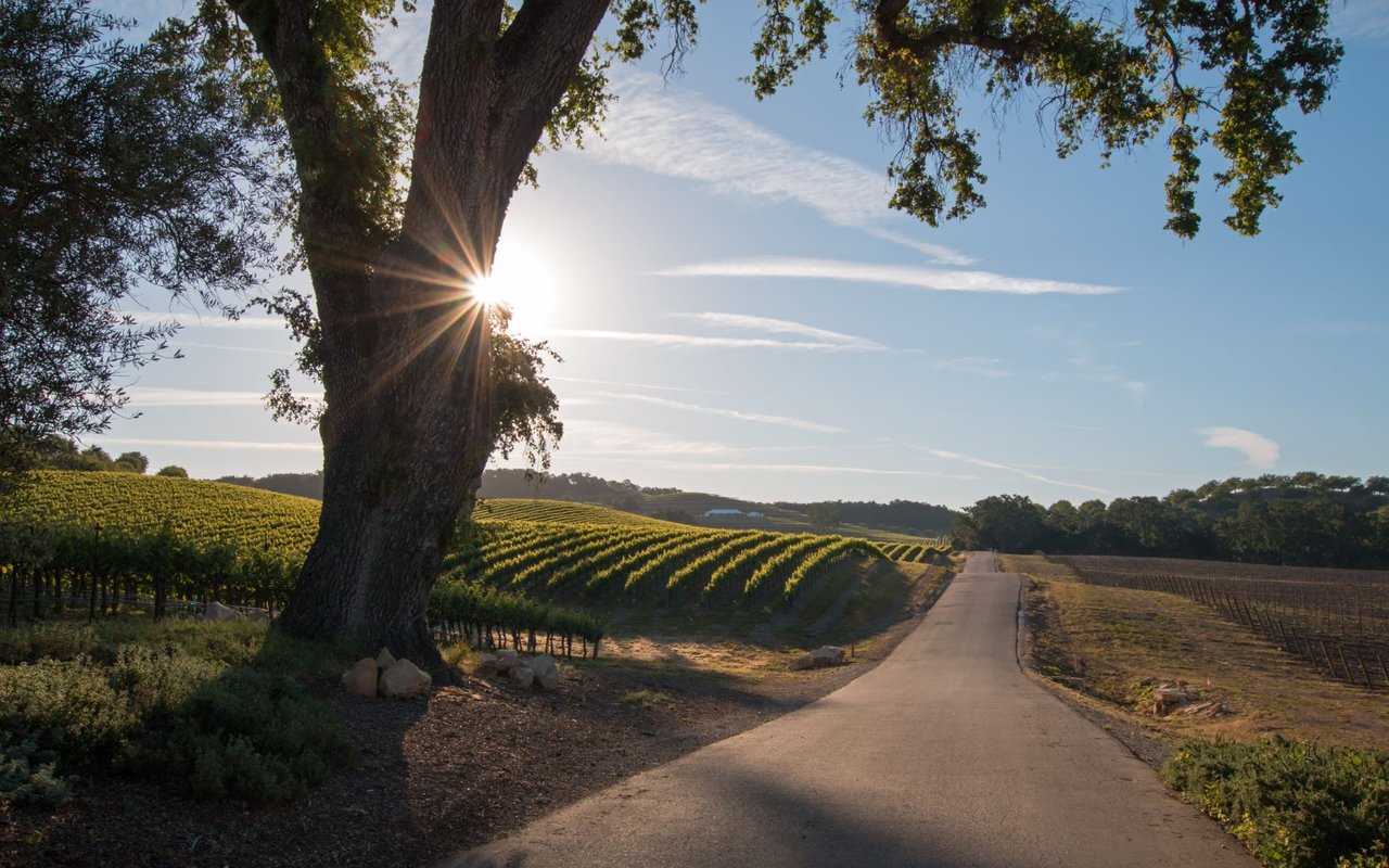 Sonoma County Parks & Recreation