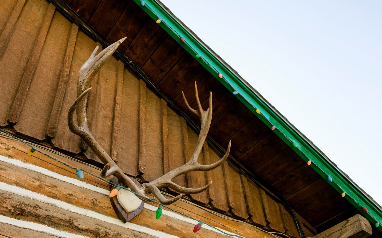 Rustic wooden exterior of the iconic Woody Creek Tavern featuring mounted elk antlers and colorful string lights, showcasing the authentic mountain charm of this legendary local establishment near Aspen.