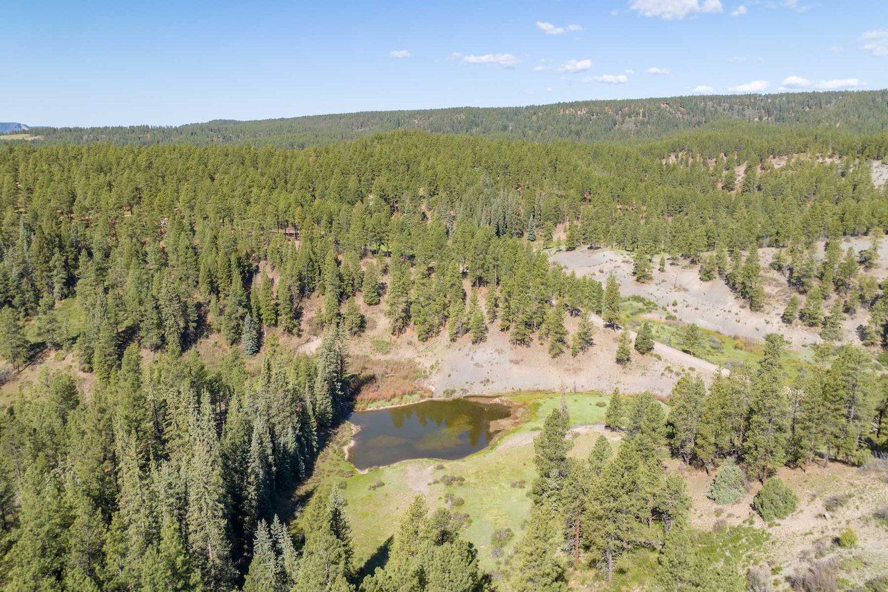 Watusi Ranch - Pagosa Springs, Colorado