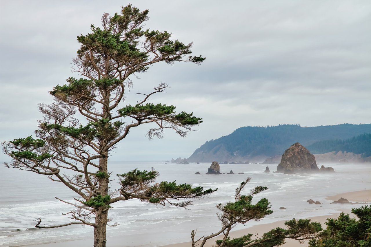 Cannon Beach