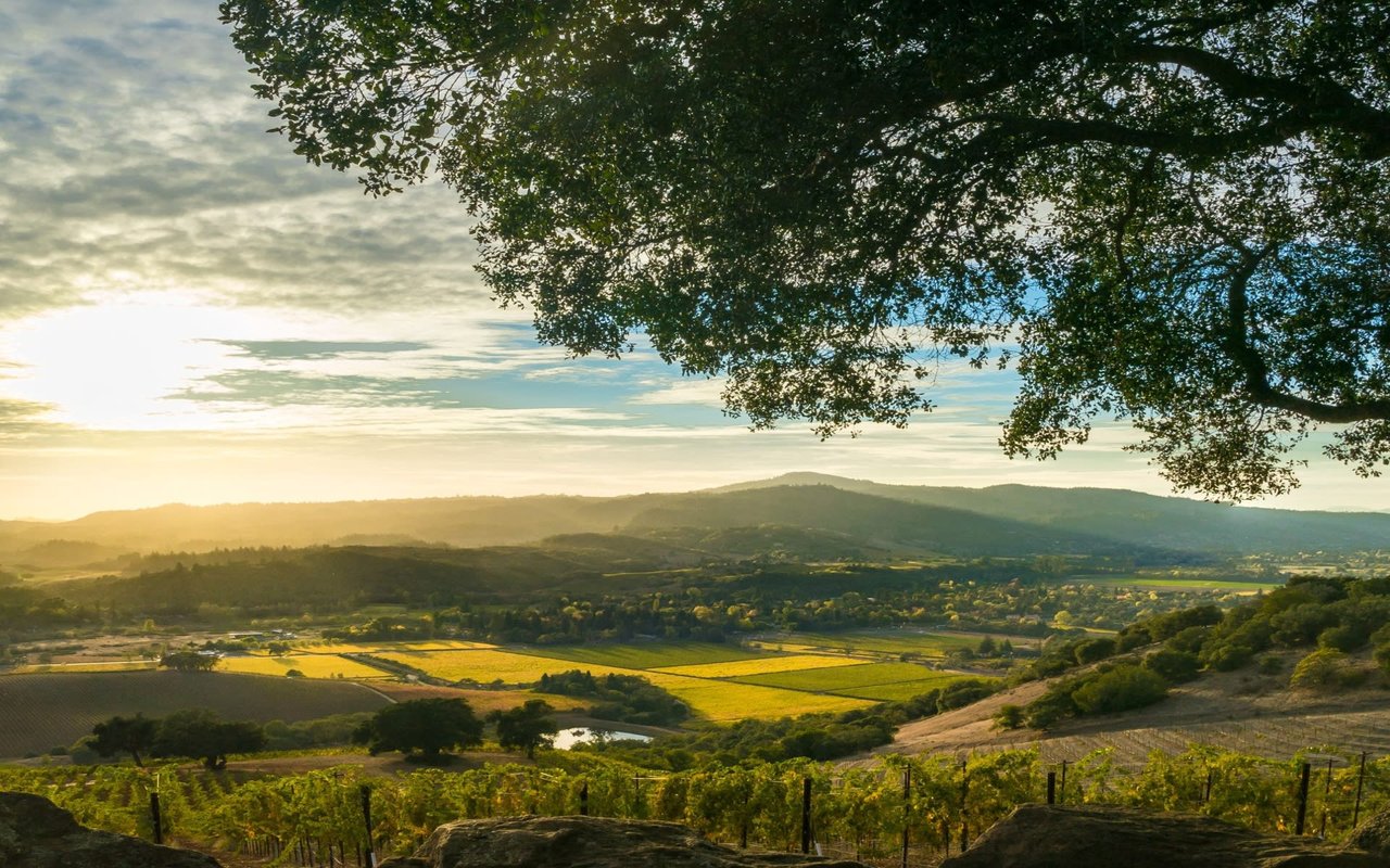 Napa Valley