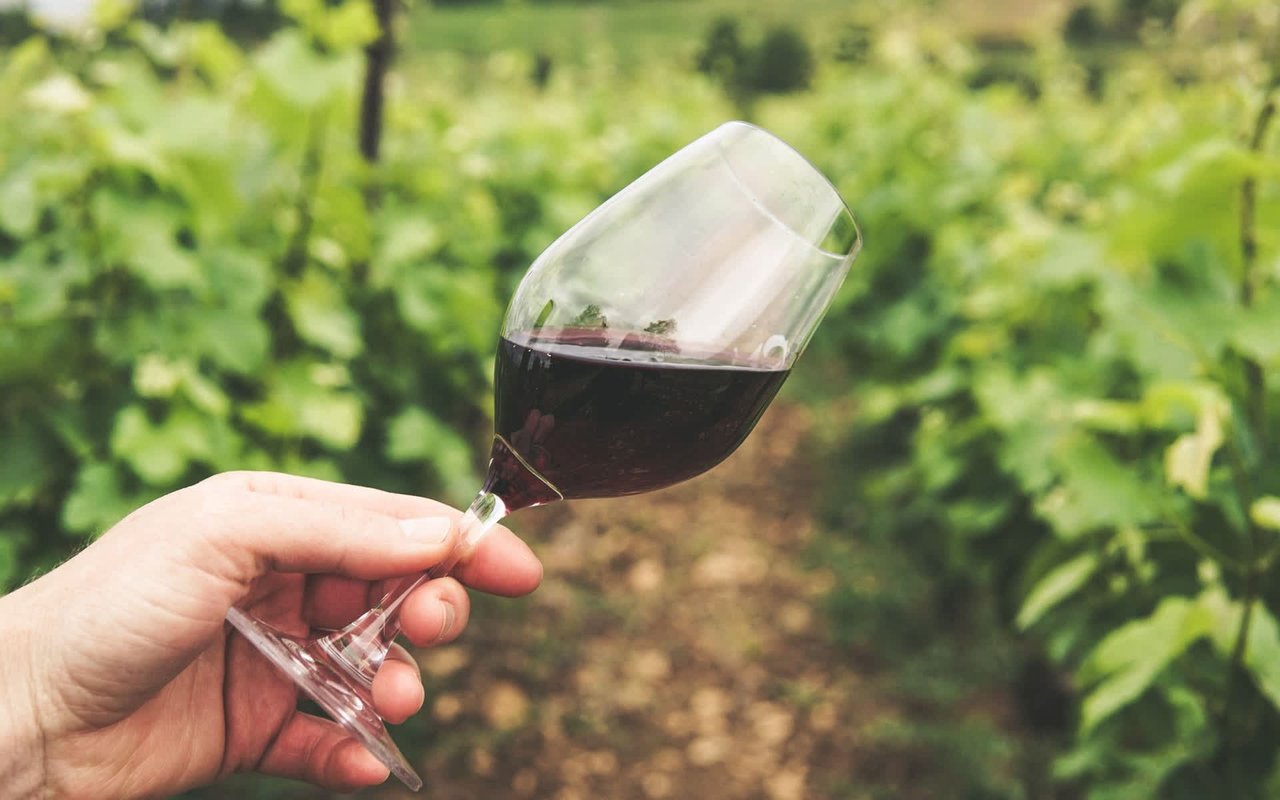 A Taste Of Hill Country Wine