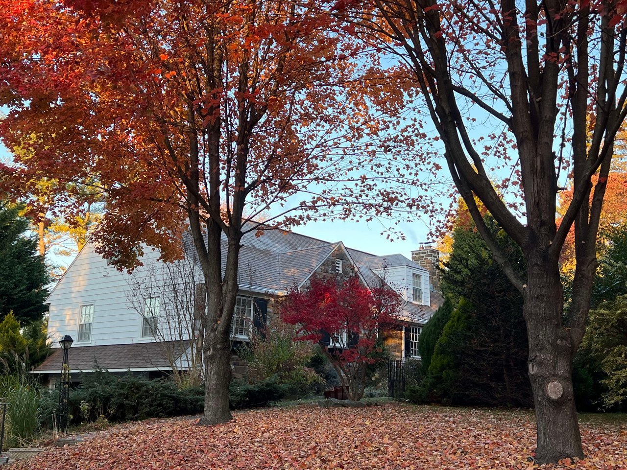 Villanova Beauty