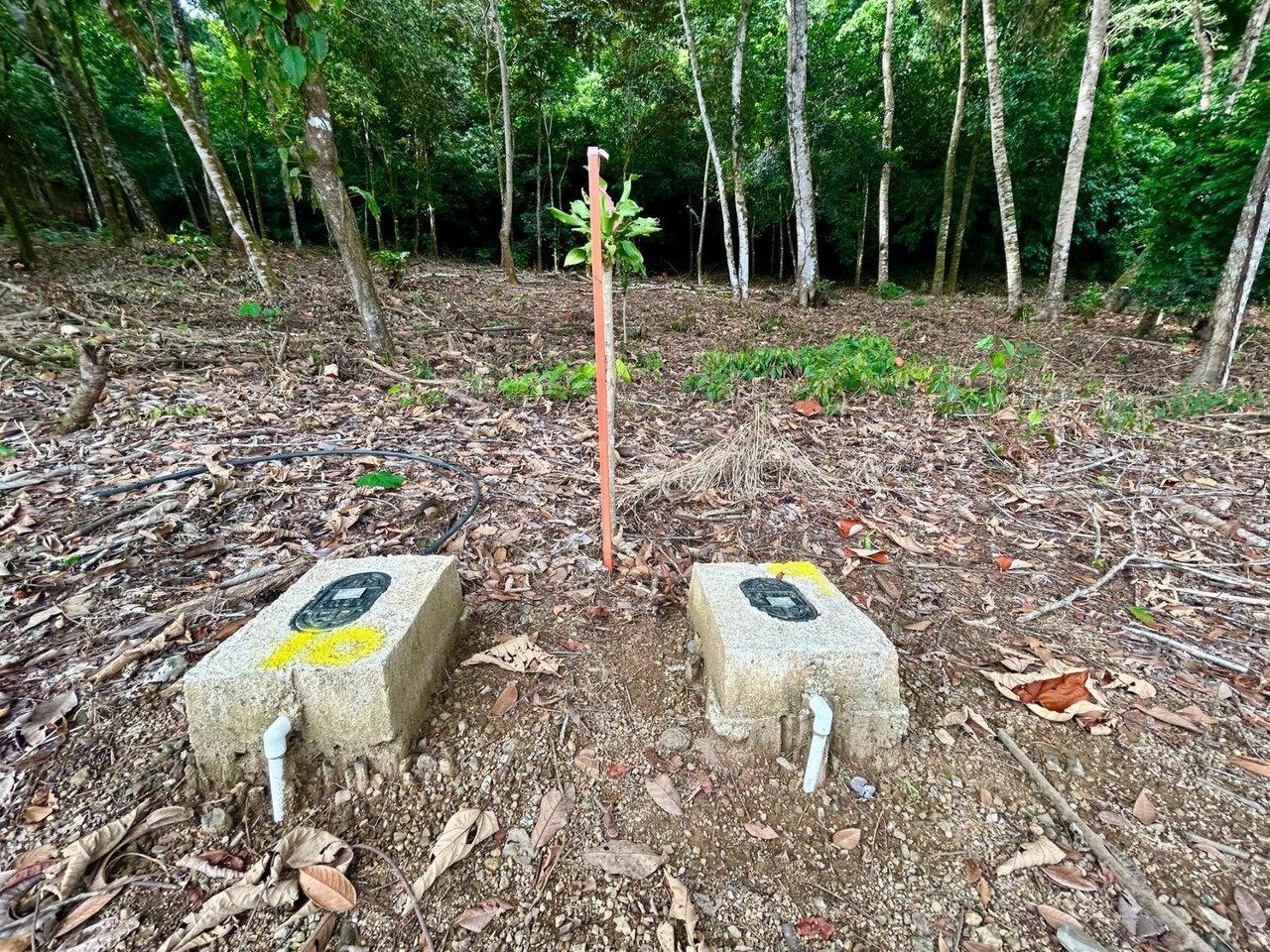 Flat Commercial Development Lot, Osa, Puntarenas