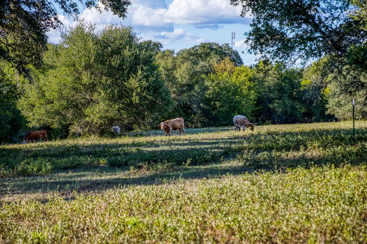 Oaks at Round Top- Tract 3