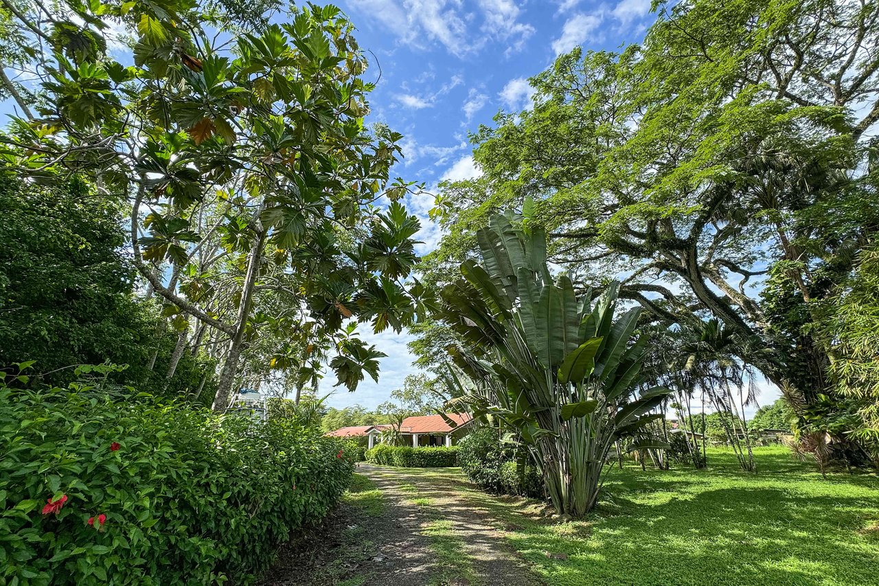 La Casona, 5 BDR Home Close To Quepos Town 