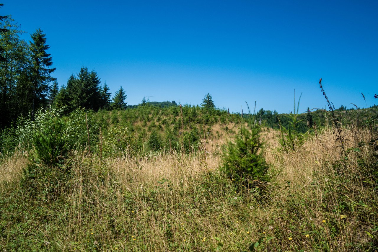 Eddyville/Sam's Creek Sealed Bid Offering (No Published Reserve) 