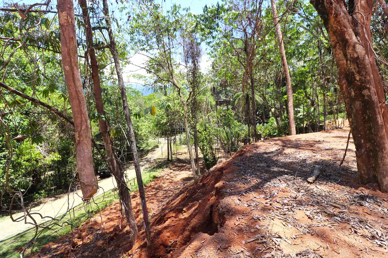 Over One Acre Attractive Lot on the Popular PEREZOSO Road.