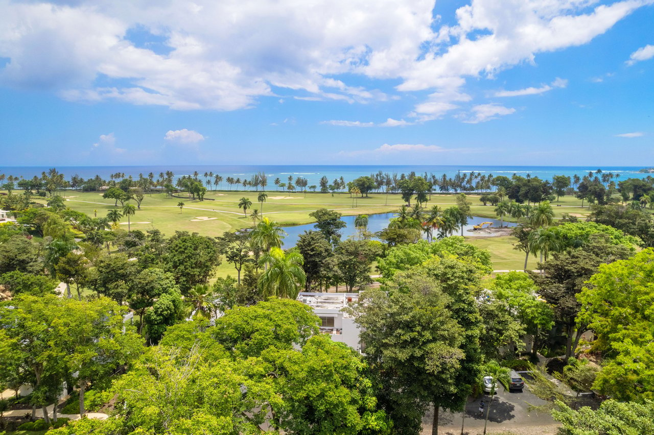 Villa Dorado Beach Estates