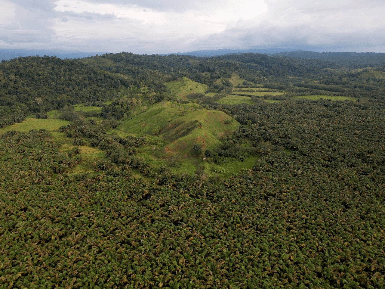 382 Acres of Sierpe River Wild Lands