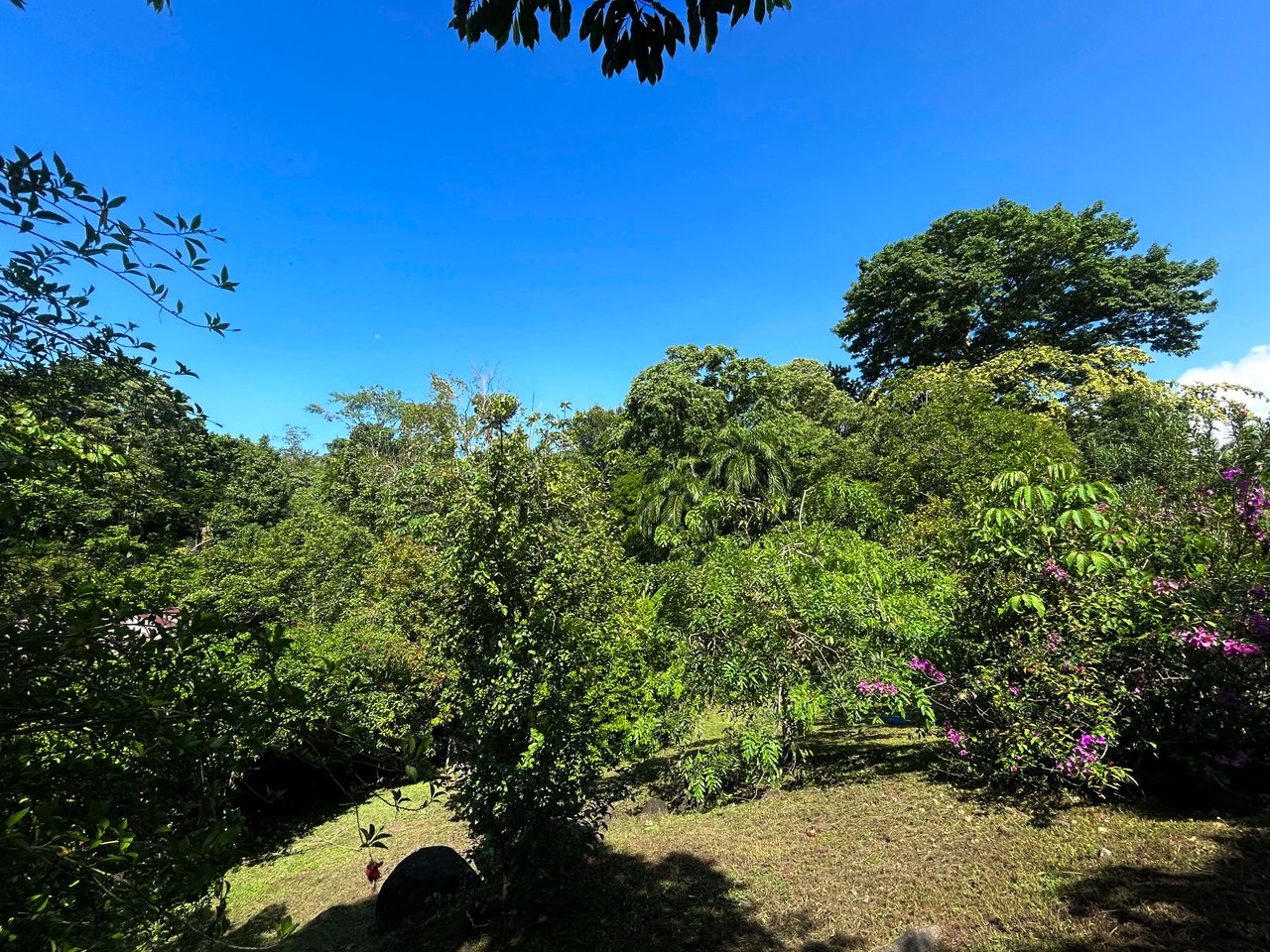 Surfer's Dream in Ojochal; 2 Bedrooms, 2 Bathrooms with Pool and River Access