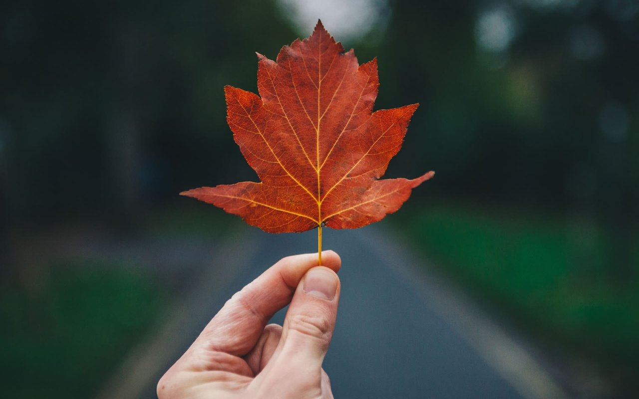 September Newsletter | Kathryn Lister