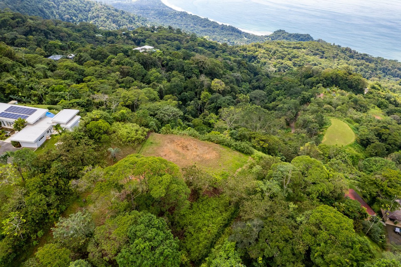 Iconic Whales Tail View in Premium Gated Community