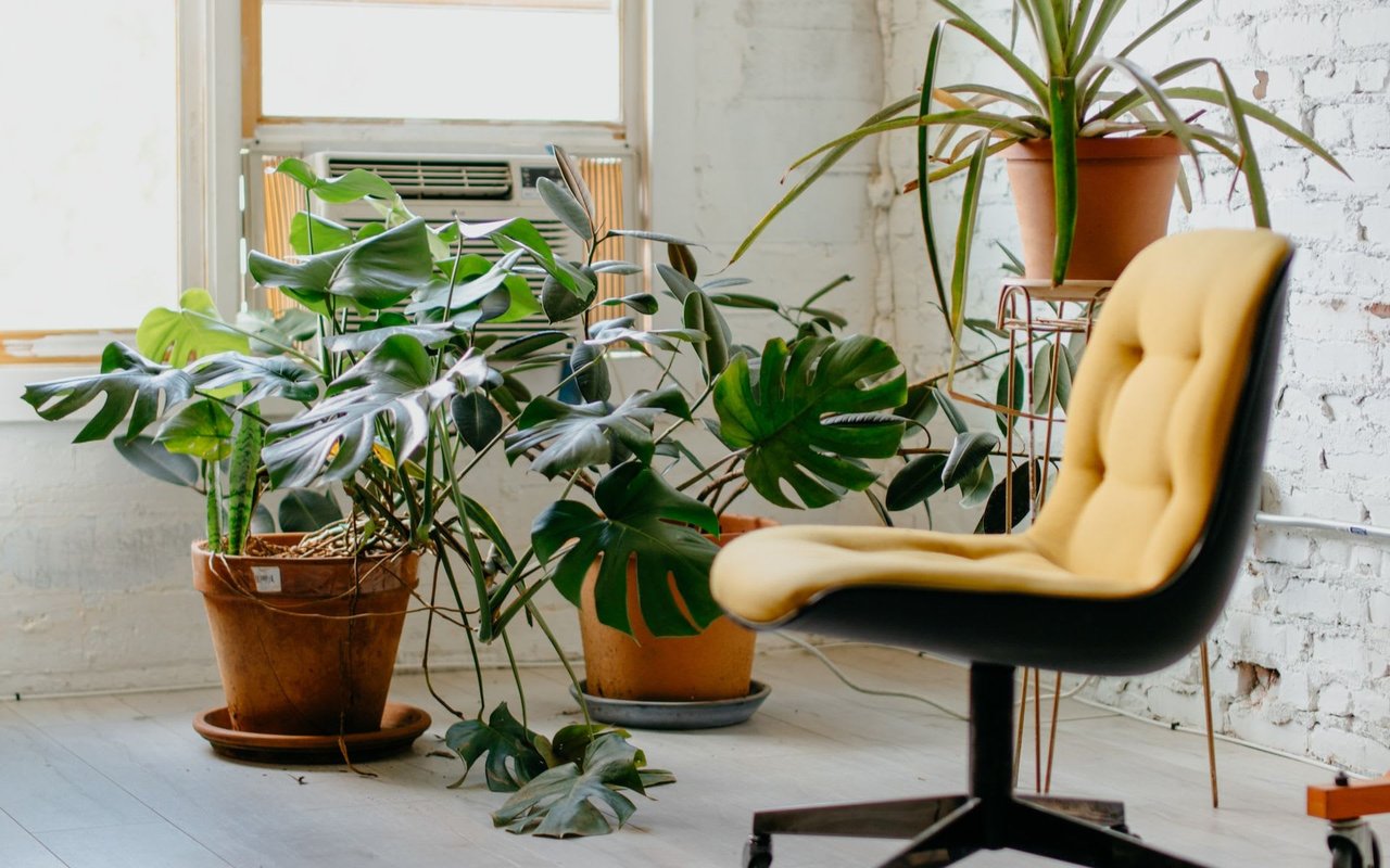 10 Simple Improvements to Help Your Home Sell Faster